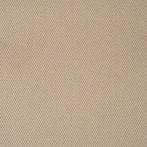 Cormar Primo Textures Carpet - Image 7
