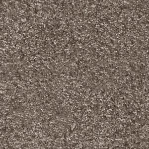 Invictus Dorado Carpet - Image 3