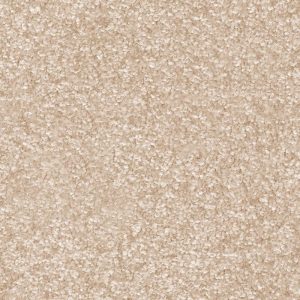 Invictus Dorado Carpet - Image 5