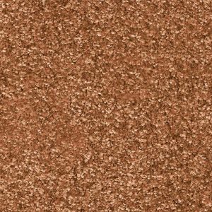 Invictus Dorado Carpet - Image 15