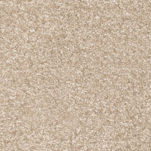 Invictus Dorado Carpet - Image 14