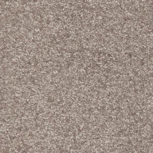 Invictus Dorado Carpet - Image 9