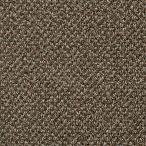 Associated Weavers Stainaway Tweed Carpet - Image 9