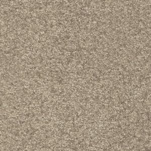 Invictus Indus Carpet - Image 5
