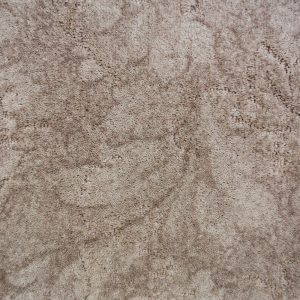 Associated Weavers California Dreams Carpet - Image 5