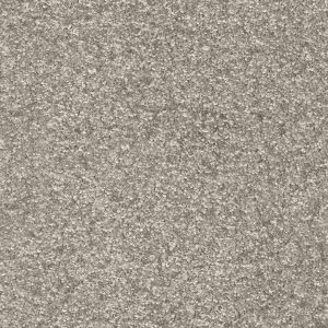 Invictus Indus Carpet - Image 14