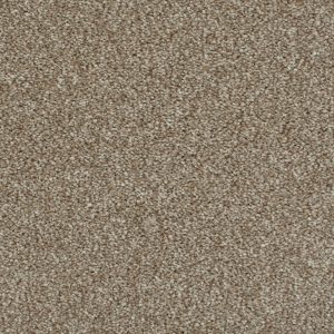 Invictus Darius Carpet - Image 11