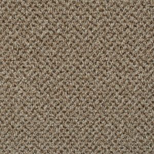 Associated Weavers Stainaway Tweed Carpet - Image 7