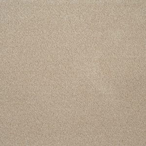 Invictus Orion Carpet - Image 4