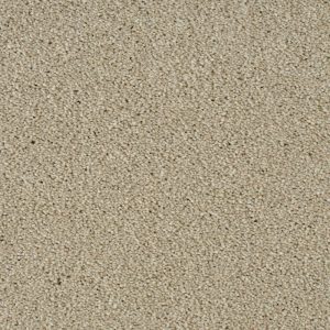 Invictus Cassius Carpet - Image 4