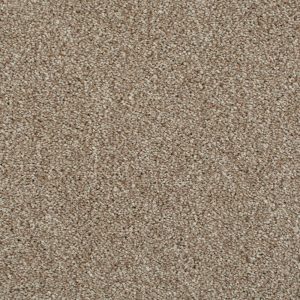 Invictus Cassius Carpet - Image 6