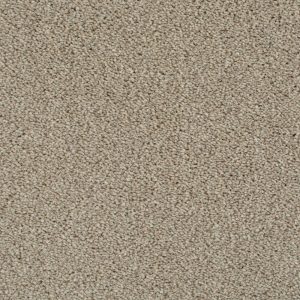 Invictus Cassius Carpet - Image 5