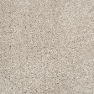Invictus Centaurus Carpet - Image 7