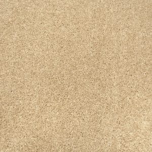 Invictus Centaurus Carpet - Image 4