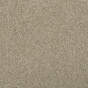 Invictus Darius Carpet - Image 10