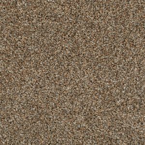 Invictus Darius Carpet - Image 5