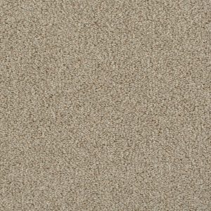 Invictus Darius Carpet - Image 6