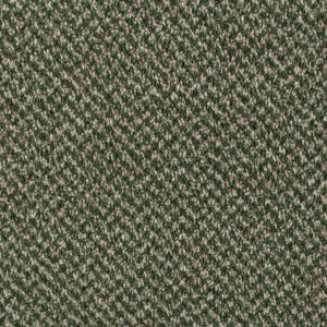 Associated Weavers Stainaway Tweed Carpet - Image 5