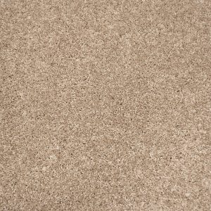Invictus Centaurus Carpet - Image 5