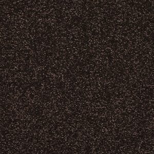 Abingdon Stainfree Caress Carpet - Image 16