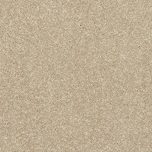 Abingdon Stainfree Caress Carpet - Image 10