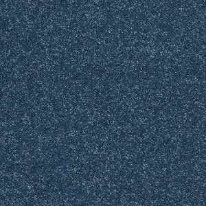 Abingdon Stainfree Caress Carpet - Image 19
