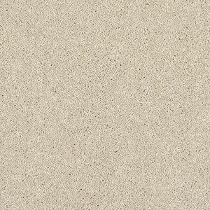Abingdon Stainfree Caress Carpet - Image 14