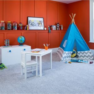 Apollo Elite Carpet by Cormar | Easy Clean Carpets