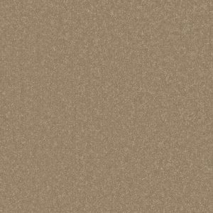 Cormar Primo Plus Carpet - Image 4