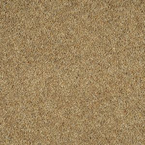 Cormar Woodland Heather 45oz Twist Elite Carpet - Image 7