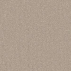 Cormar Primo Plus Carpet - Image 13