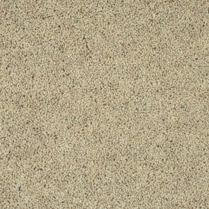 Cormar Woodland Heather 45oz Twist Elite Carpet - Image 3
