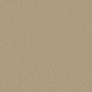 Cormar Primo Plus Carpet - Image 15