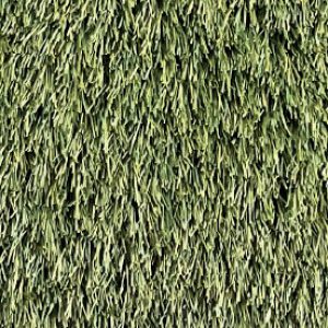 Cypress Point Aritificial Grass - Image 1
