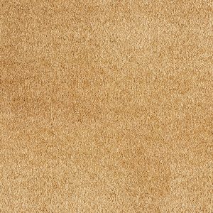Associated Weavers Orinoco Carpet - Image 5