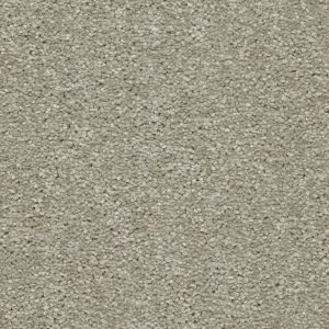 Associated Weavers Hudson Carpet - Image 5