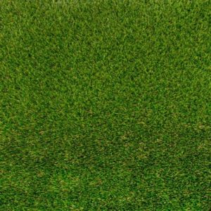 Merion Aritificial Grass - Image 1