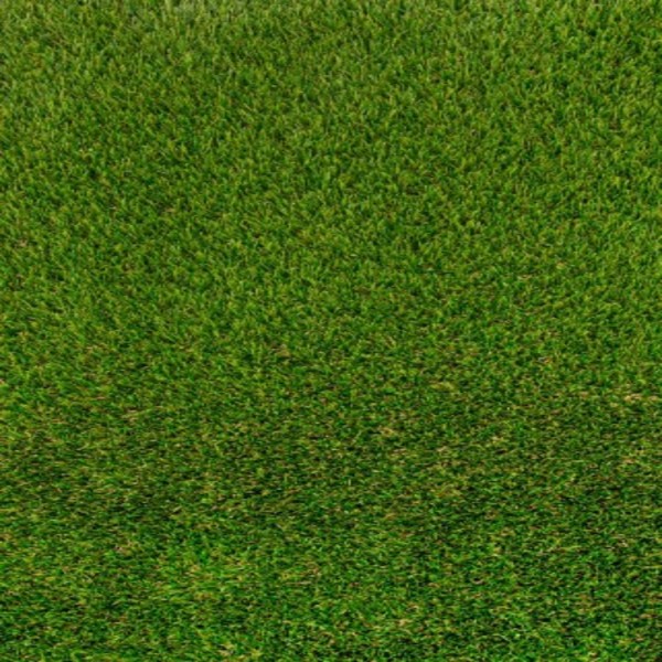 extra-Merion-resize