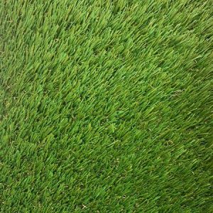Cape Cabet Artificial Grass - Image 1