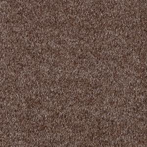 Associated Weavers Orinoco Carpet - Image 8
