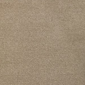 Invictus Septimus Carpet - Image 3