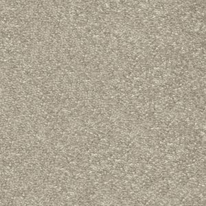 Invictus Centurion Carpet - Image 6