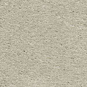 Invictus Magnificus Carpet - Image 7