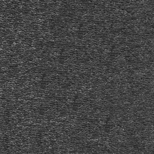 Invictus Magnificus Carpet - Image 17
