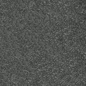 Invictus Centurion Carpet - Image 13
