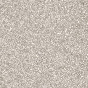 Invictus Centurion Carpet - Image 3