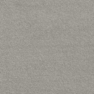 Invictus Septimus Carpet - Image 10