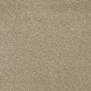 Invictus Septimus Carpet - Image 5