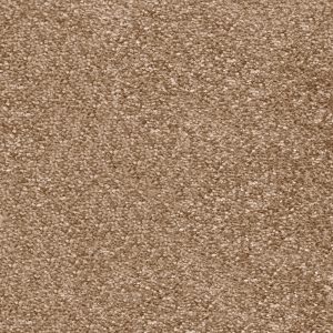 Invictus Magnificus Carpet - Image 10