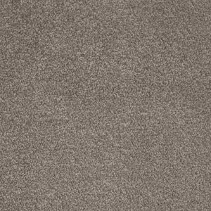 Invictus Septimus Carpet - Image 8